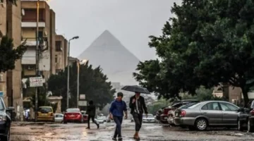 العد التنازلي لانتهاء فصل الشتاء وبداية الربيع في مصر